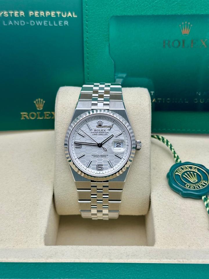 Rolex Land-dweller 36 2025